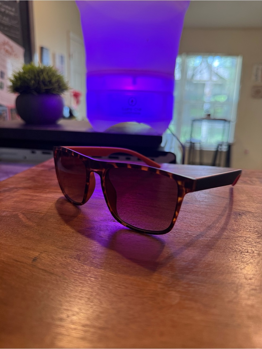 Tortoiseshell Men's Sunglasses - Brown Lenses